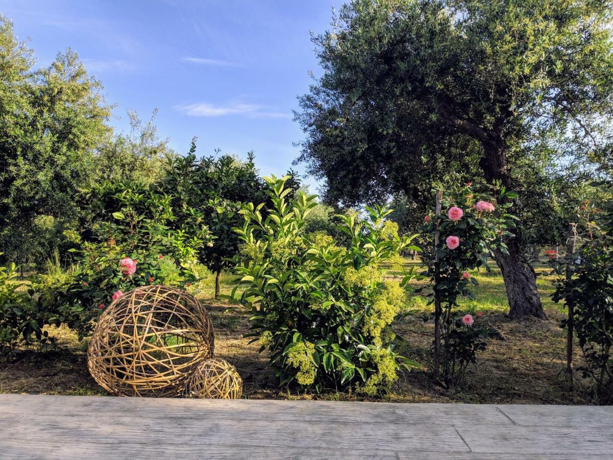 דירות Vasilikí Casa Di Porto Roma מראה חיצוני תמונה
